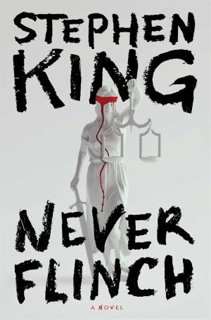 Never Flinch (Holly Gibney #4) Free Download