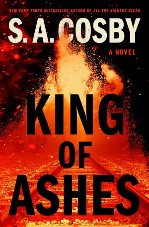 King of Ashes by S.A. Cosby Free Download