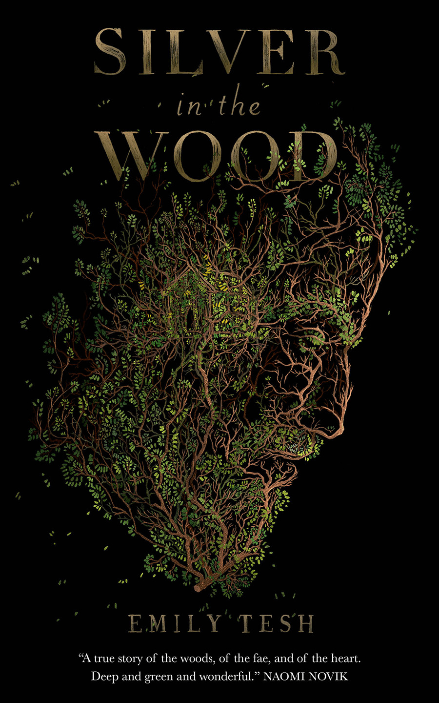 Silver in the Wood (The Greenhollow Duology #1) Free Download