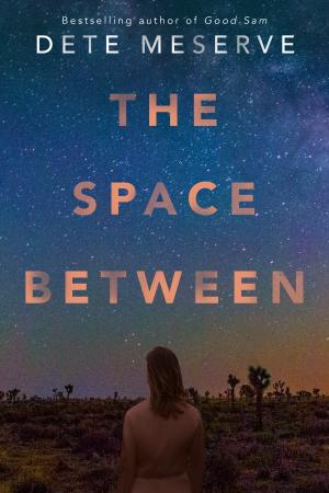 The Space Between by Dete Meserve Free Download