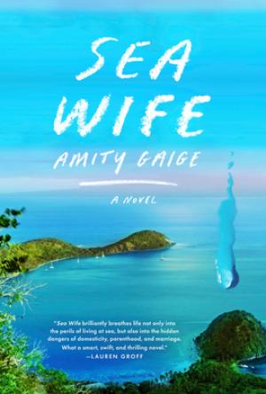 Sea Wife by Amity Gaige PDF Download