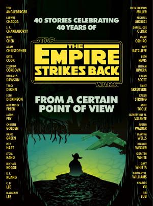 From a Certain Point of View #2 PDF Download