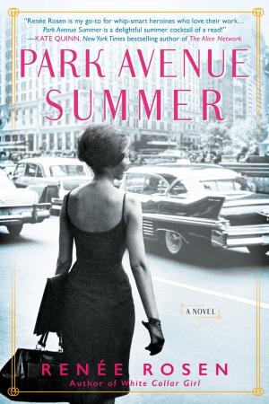 Park Avenue Summer Free Download