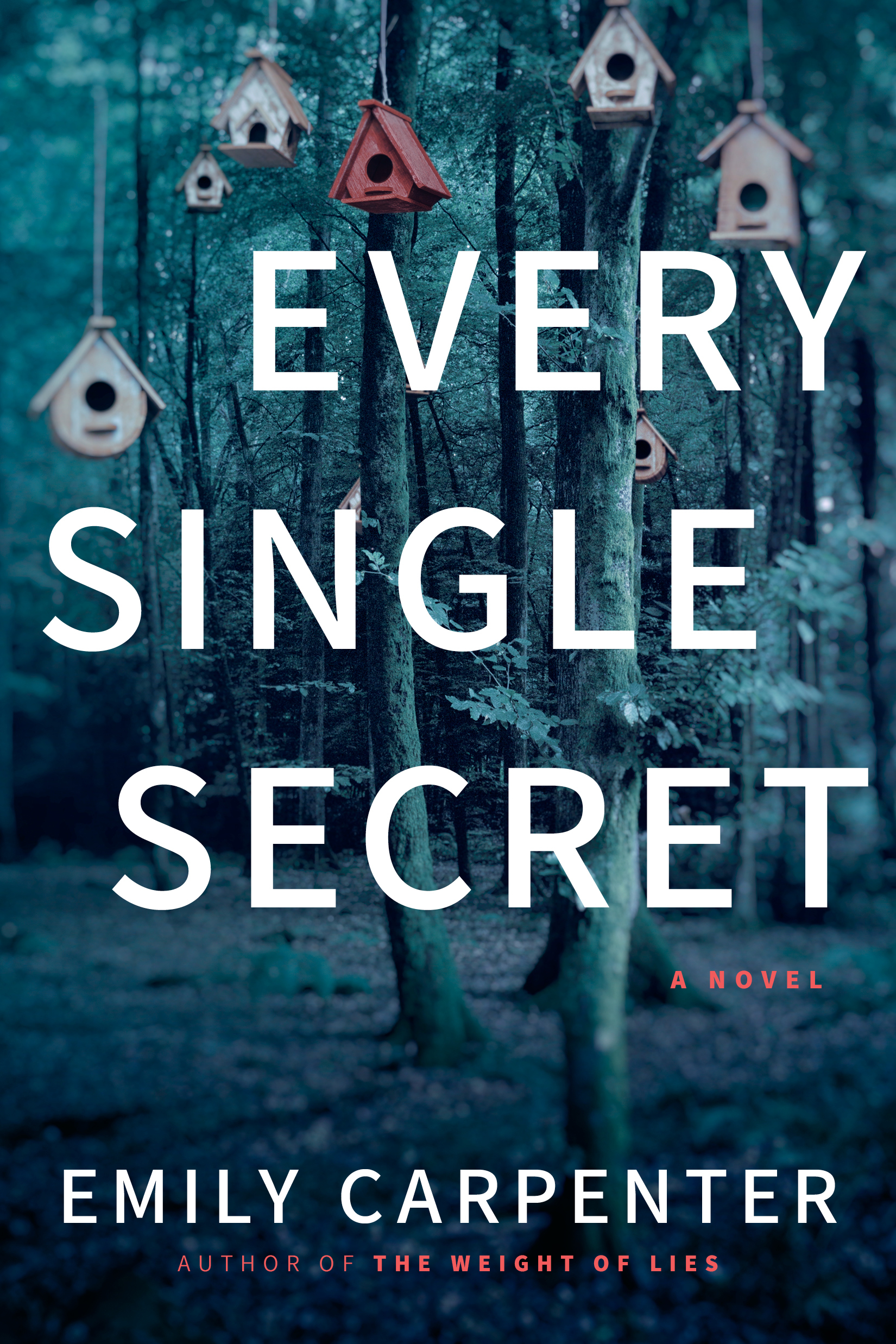 Every Single Secret by Emily Carpenter Free Download