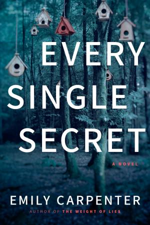 Every Single Secret by Emily Carpenter Free Download
