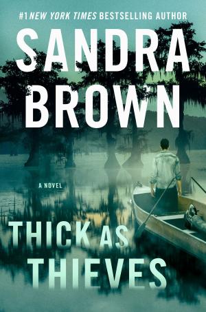 Thick as Thieves by Sandra Brown Free Download