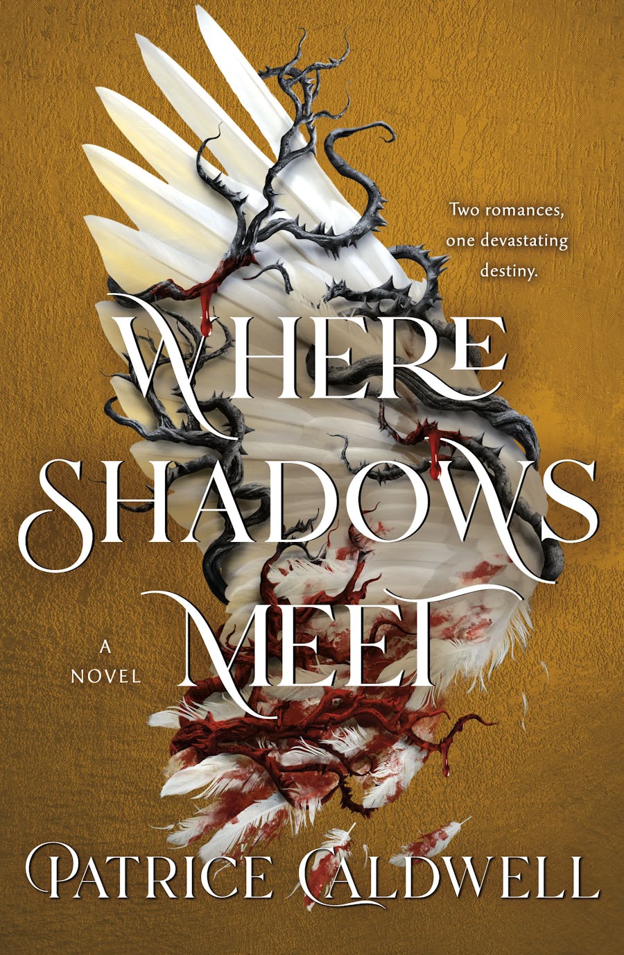 Where Shadows Meet #1 by Patrice Caldwell Free Download
