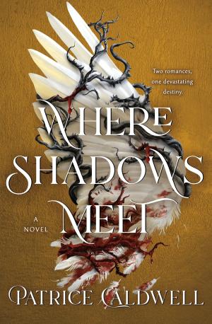Where Shadows Meet #1 by Patrice Caldwell Free Download