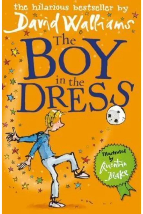 Cover of The Boy in the Dress