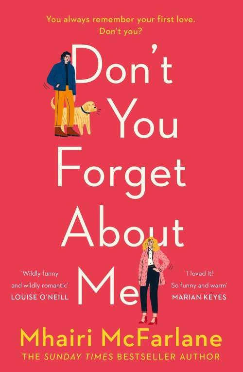 Free Download Don't You Forget About Me by Mhairi McFarlane