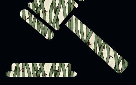 EPUB Download Hercule Poirot #22 Sad Cypress by Agatha Christie