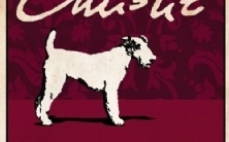 EPUB Download Hercule Poirot #17 Dumb Witness by Agatha Christie