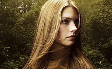 EPUB Download Shadowfell #1 Shadowfell by Juliet Marillier