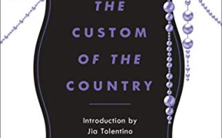 EPUB Download The Custom of the Country by Edith Wharton
