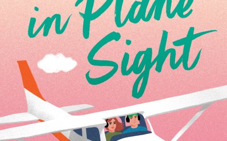 EPUB Download Love in Plane Sight by Lauren Connolly