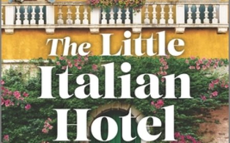 EPUB Download The Little Italian Hotel by Phaedra Patrick