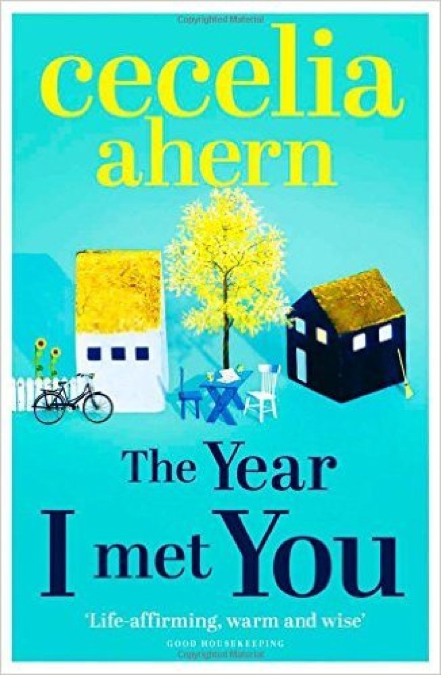 EPUB Download The Year I Met You by Cecelia Ahern