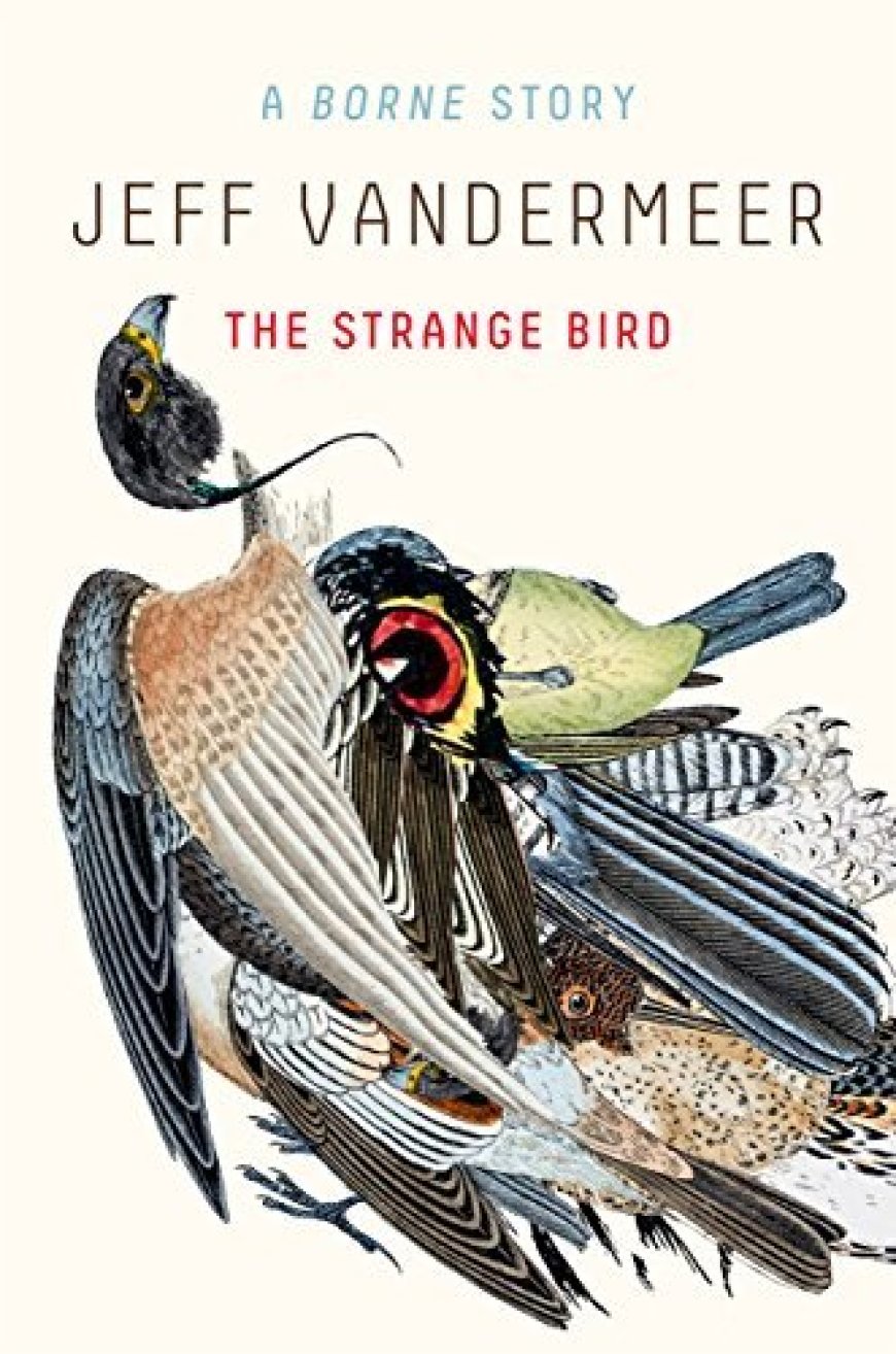 EPUB Download The Strange Bird: A Borne Story (Borne #1.5) by Jeff Vandermeer