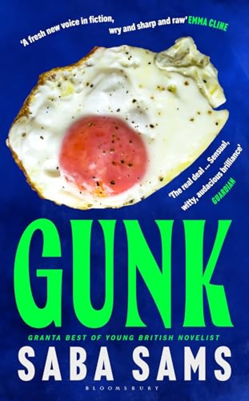 EPUB Download Gunk by Saba Sams