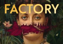 PDF Download The Silence Factory by Bridget Collins