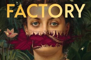 PDF Download The Silence Factory by Bridget Collins