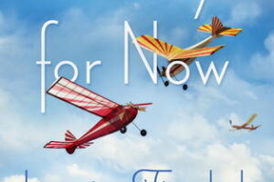 PDF Download Goodbye for Now by Laurie Frankel