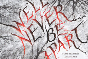 PDF Download We’ll Never Be Apart by Emiko Jean