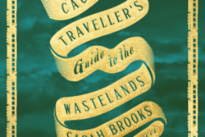 PDF Download The Cautious Traveller’s Guide to the Wastelands by Sarah Brooks