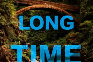 PDF Download Long Time Gone by Charlie Donlea