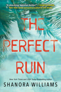 PDF Download The Perfect Ruin by Shanora Williams