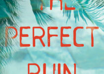 PDF Download The Perfect Ruin by Shanora Williams