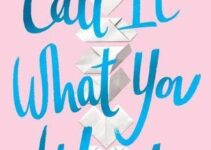 PDF Download Call It What You Want by Brigid Kemmerer