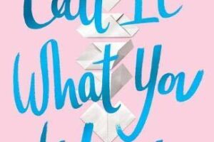 PDF Download Call It What You Want by Brigid Kemmerer