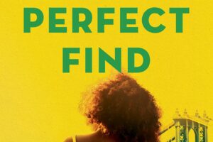 PDF Download The Perfect Find by Tia Williams