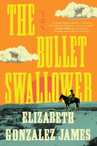 PDF Download The Bullet Swallower by Elizabeth Gonzalez James