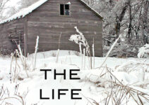 PDF Download Joe Talbert #1 The Life We Bury by Allen Eskens
