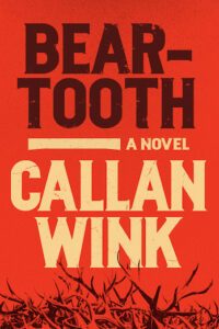 PDF Download Beartooth by Callan Wink