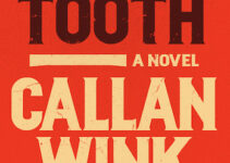 PDF Download Beartooth by Callan Wink