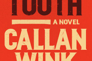 PDF Download Beartooth by Callan Wink